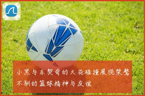 小黑与东契奇的火花碰撞展现桀骜不驯的篮球精神与友谊