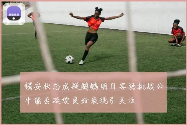 锡安状态成疑鹈鹕明日客场挑战公牛能否延续良好表现引关注