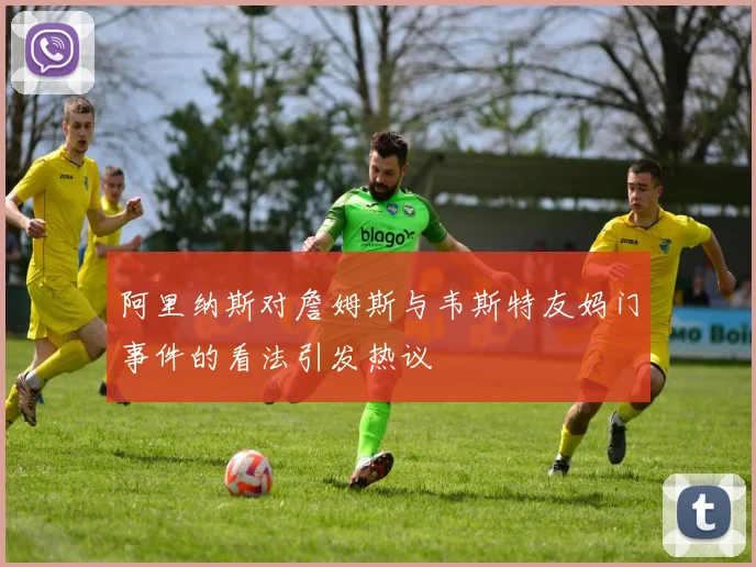 阿里纳斯对詹姆斯与韦斯特友妈门事件的看法引发热议