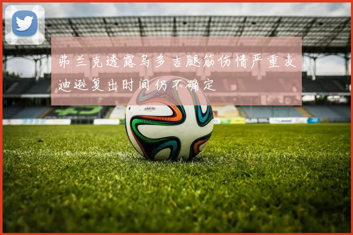 弗兰克透露乌多吉腿筋伤情严重麦迪逊复出时间仍不确定