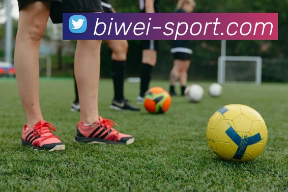 必威足球平台生态图